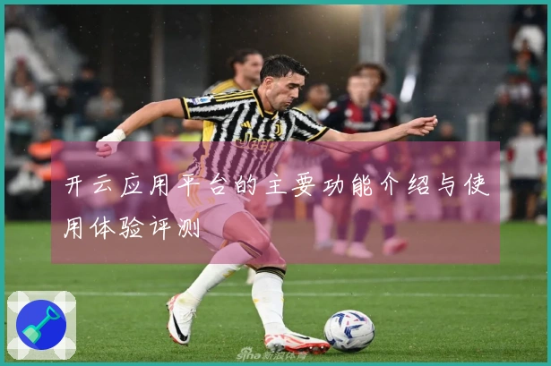 开云应用平台的主要功能介绍与使用体验评测