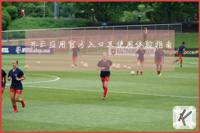 开云应用官方入口及使用体验指南