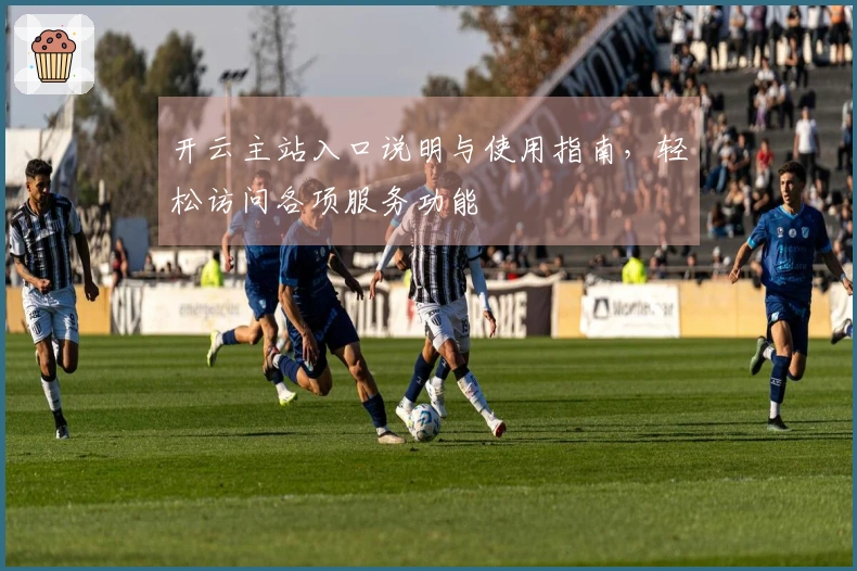 开云主站入口说明与使用指南，轻松访问各项服务功能