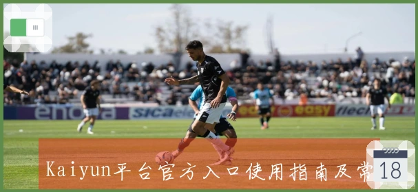 Kaiyun平台官方入口使用指南及常见问题解答